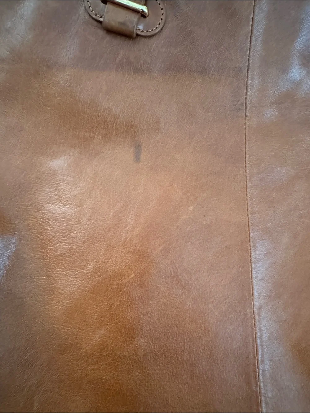 Badgley Mischka Chestnut Brown Leather Studded Tote Without Strap